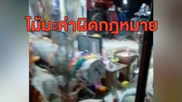 จนท.ตรวจสอบต้นตะเคียนที่บ้าน 'ลุงพล' พบเป็นไม้มะค่าผิดกฎหมาย