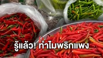 รู้แล้ว! สาเหตุพริกแพง เม็ดละ 1 บาท - เช็กราคาพริกวันนี้