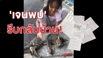 น่าเอ็นดู! หนูน้อยเขียนจดหมายตามหา 'เจนภพ' แมวจรตัวโปรด ที่หายออกไปจากหมู่บ้าน