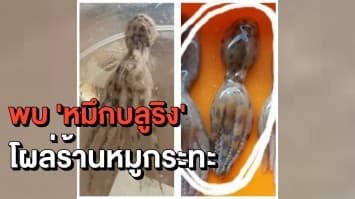 ร้านบุฟเฟ่ต์หมูกระทะชื่อดังโร่ขอโทษ หลังขายหมึกสายให้ลูกค้า แต่มี 'หมึกบลูริง' ปนไปด้วย