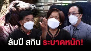 คุมไม่อยู่! 'ลัมปี สกิน' ระบาดหนัก วัวป่วยกว่าแสน ตายนับหมื่น ชาวบ้านน้ำตาตกร้องช่วยเยียวยา : ช็อตเด็ด ถกไม่เถียง 