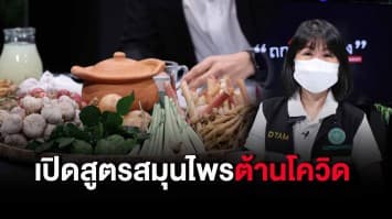 กรมแพทย์แผนไทยฯ แนะสูตร ฟ้าทะลายโจร-กระชายขาว ต้านโควิด พร้อมเผยวิธีใช้สมุนไพรที่ได้ผลจริง : ช็อตเด็ด ถกไม่เถียง