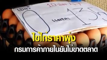 ไข่ไก่ราคาพุ่ง! กรมการค้าภายในยันไม่ขาดตลาด ปรามผู้ค้ากักตุนสินค้า ระวังโทษหนัก