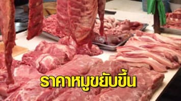 โอดหมูแพง! ราคาเนื้อหมูขยับขึ้น กิโลละ 170 บ. คาดจะปรับเพิ่มขึ้นอีก เหตุน้ำท่วมฟาร์มหมู