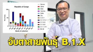 นักไวรัสวิทยาจับตา โควิดสายพันธุ์ B.1.X ต้นกำเนิดจากคองโก ท้าชิงเดลตา?