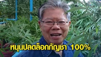 ปธ.สภาเกษตรฯ หนุน อนุทิน ปลดล็อกกัญชา 100% แนะขออนุญาตให้ง่าย สร้างศก.ประเทศ