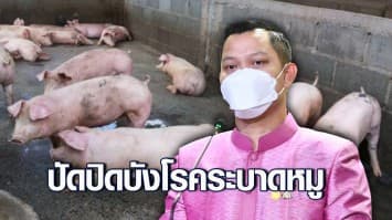 รัฐบาลยันไม่เคยปกปิดโรคระบาดหมู ย้ำ3 ปีที่ผ่านมา ไทยคุมได้อย่างดี กำชับกรมปศุสัตว์เร่งตรวจสอบฟาร์มหมู