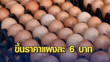 ซ้ำเติมไม่หยุด ไข่ไก่ ขึ้นราคาแผงละ 6 บาท อ้างต้นทุนวัตถุดิบอาหารสัตว์แพงขึ้น