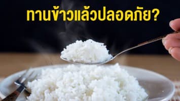 เตือน!! กินข้าวแล้วปลอดภัย? งานวิจัยชี้ทานข้าวขาวเสี่ยงเบาหวาน