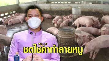 รัฐบาล เยียวยาเกษตรกรเลี้ยงหมู 56 จังหวัด ชดใช้ค่าทำลายหมูที่อยู่ในข่ายโรคระบาดร้ายแรงให้เกษตรกรเกือบ 5,000 คน