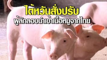 ไต้หวันสั่งปรับกว่า 2 แสนบาท ผู้ลักลอบนำเข้าเนื้อหมูจากไทย หลังกรมปศุสัตว์ไทยยืนยันพบเชื้ออหิวาต์แอฟริกาในสุกร