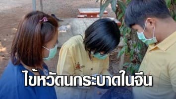 กรมปศุสัตว์ แจ้งเตือนไข้หวัดนกระบาดในจีน พบคนติดเชื้อตายแล้ว 2 สั่งป้องกันเข้มพื้นที่เลี้ยงสัตว์ปีก