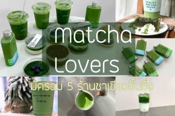 5 คาเฟ่สายเขียว ร้านดังขึ้นชื่อใจกลางกรุง เอาใจสายมัทฉะเลิฟเวอร์ที่ต้องไปลอง!!