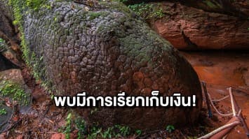 ผอ.อุทยานฯ แจงปมนักท่องล้นถ้ำนาคา พบมีการเรียกรับเงิน