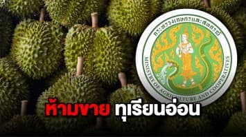 กระทรวงเกษตรฯ ห่วง ตัดทุเรียนอ่อนขาย ทำลายระบบส่งออก