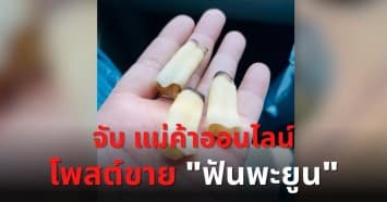 รวบ แม่ค้าออนไลน์ โพสต์ขาย "ฟันพะยูน" บนเฟซบุ๊ก ผิด พ.ร.บ. สงวนฯ ปรับจุก! ติดคุกหัวโต!