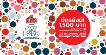เตรียมพบกับงานดนตรีสุดยิ่งใหญ่ ใน งาน " CAT EXPO 8 " จัดที่สวนสนุก Wonderland 7-8 พฤษภาคม นี้ 