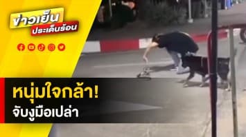 แชร์ว่อน! คลิปวันรุ่นใจกล้า โชว์จับงูมือเปล่า ไม่ง้อกู้ภัย 