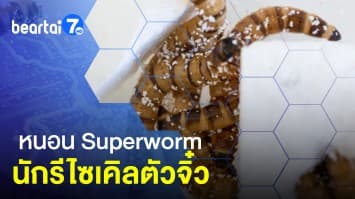 ซูเปอร์หนอนจอมเขมือบ "พลาสติก" ลุ้นปฏิวัติวงการรีไซเคิล