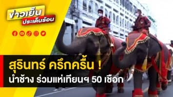 งานช้าง ! จ.สุรินทร์ จัดขบวนแห่เทียนพรรษา ด้วยช้างกว่า 50 เชือก หลังหยุดไปกว่า 2 ปี