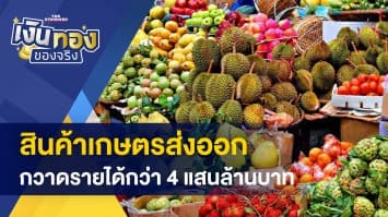 เกษตรกรไทยไม่แพ้ชาติใด! สินค้าเกษตรส่งออก กวาดรายได้กว่า 4 แสนล้านบาท
