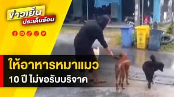 ป้าใจบุญ ตระเวนให้อาหารน้องหมา น้องแมวจรจัด กว่า 10 ปี ไม่ขอรับบริจาค 