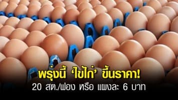 4 สหกรณ์ผู้เลี้ยงไก่ไข่ ประกาศขึ้นราคาไข่ไก่ 20 สต./ฟอง หรือแผงละ 6 บาทมีผล 20 ก.ค.นี้