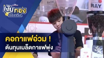 คอกาแฟอ่วม ! ต้นทุนเมล็ดกาแฟพุ่ง เหตุสภาพอากาศ ทำผลผลิตเสียหาย