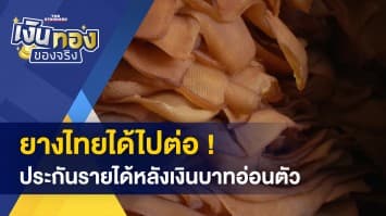 ยื่นกู้ซื้อบ้านเกินราคา ทำอย่างไรดี ? - ยางไทยได้ไปต่อ ประกันรายได้หลังเงินบาทอ่อนตัว