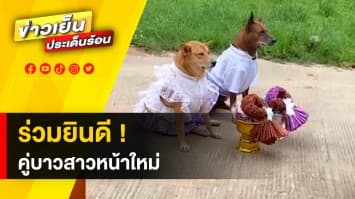 ร่วมยินดี ! คู่บ่าวสาวหน้าใหม่ น้องหมาจับคู่แต่งชุดไทยสุดน่ารัก