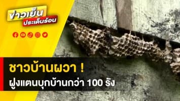 สุดผวา ! ฝูงแตนนับ 100 รัง บุกยึดตัวบ้าน ซ้ำดุร้าย ต่อยชาวบ้านจนหามส่งโรงพยาบาล