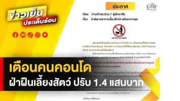 เตือนใจคนรักสัตว์ ! ฝ่าฝืนเลี้ยงสัตว์ในคอนโด ศาลสั่งปรับ 1.4 แสนบาท