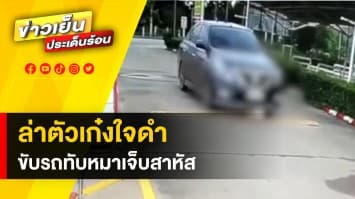 โซเชียลตามตัว ! รถเก๋งใจเหี้ยม ขับรถทับหมาเจ็บ พนักงานห้างช่วยกันออกเงิน พาไปรักษา