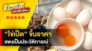 สำรวจราคา ไข่เป็ด หลังปรับขึ้น ฟองละ 10 สตางค์ ทำให้แพงเป็นประวัติการณ์ 