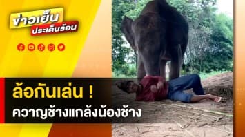 น่ารักน่าเอ็นดู ! เจ้าจุ๊บแจง ช้างน้อยแสนรู้ กับการแกล้งเล่นของ ควาญแจ็ค 