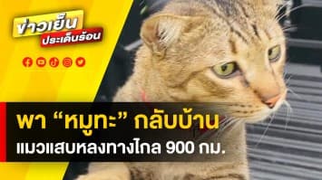 “หมูทะ” กลับบ้านแล้ว ! หลังหนีเที่ยวไกล “หาดใหญ่-กรุงเทพฯ” กว่า 900 กม.