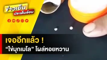 เจออีกแล้ว ! “ไข่มุกเมโล” โผล่ในหอยหวาน เผย หลานเคี้ยวเจอจนแตก