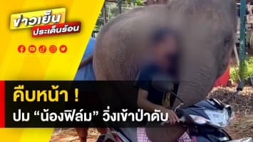 “น้องฟิล์ม” วิ่งเข้าป่าเสียชีวิต ด้านครอบครัว เตรียมพา “สุพรรณษา” ร่วมส่งวิญญาณ