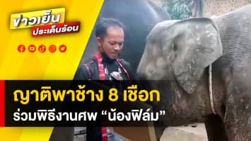 ครอบครัวพา “สุพรรษา” ช้างแสนรู้ ร่วมส่งดวงวิญญาณ “น้องฟิล์ม” 