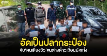 อัดเป็นปลากระป๋อง ! จับ‘คนเลี้ยงวัว’ขนต่างด้าวเถื่อนยัดเก๋ง ฟันค่าหัวคิว