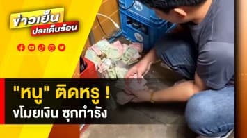 เจ้าของร้านอาหารสุดงง ! เงินหายนับพันบาท  เชื่อ “น้องหนู” เอาไปซ่อน