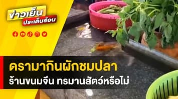 ดรามาสนั่น ! ร้านขนมจีน “กินผักชมปลา” ชาวเน็ตเสียงแตก ทรมานสัตว์หรือไม่