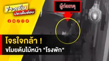 โจรใจกล้า ! ขโมยต้นไม้ของร้านค้า ห่างโรงพักเพียง 100 เมตร จ.ระยอง