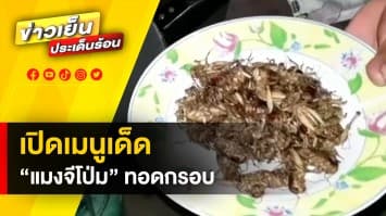 เปิดเมนูเด็ด ! แมงจีโป่ม ทอดกรอบ ของอร่อยขึ้นชื่อชาวบ้านภาคอีสาน