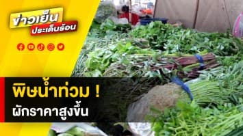 พิษน้ำท่วม ! “กะเพรา” ราคาพุ่งจาก 10 บาท เป็น 100 บาท ทำเมนูยอดฮิตสั่นสะเทือน