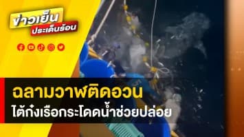 ชื่นชม ! ไต้ก๋งเรือประมง กระโดดน้ำลงช่วย “ฉลามวาฬ” ติดอวน ส่งคืนสู่ท้องทะเล | ข่าวดีประจำวัน