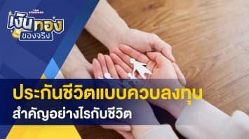 ประกันชีวิตแบบควบลงทุน คืออะไร ? - เรื่องการเงิน ที่คนมักเข้าใจผิด