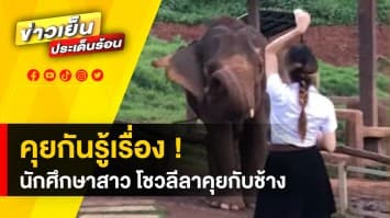 สุดทึ่ง ! คนคุยกับช้าง สื่อสารกันรู้เรื่อง เข้ากันดีเป็นปี่เป็นขลุ่ย | ข่าวดีประจำวัน