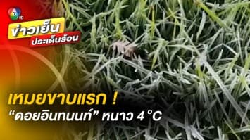 เหมยขาบแรก ! “ดอยอินทนนท์” หนาว 4 องศาเซลเซียส แห่ท่องเที่ยวสัมผัสอากาศหนาว