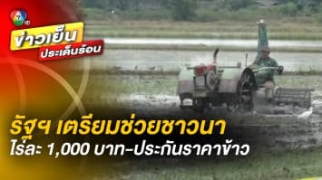 ชาวนาเตรียมเฮ ! รัฐเล็งจ่ายไร่ละ 1,000 บาท พร้อมประกันราคาข้าว